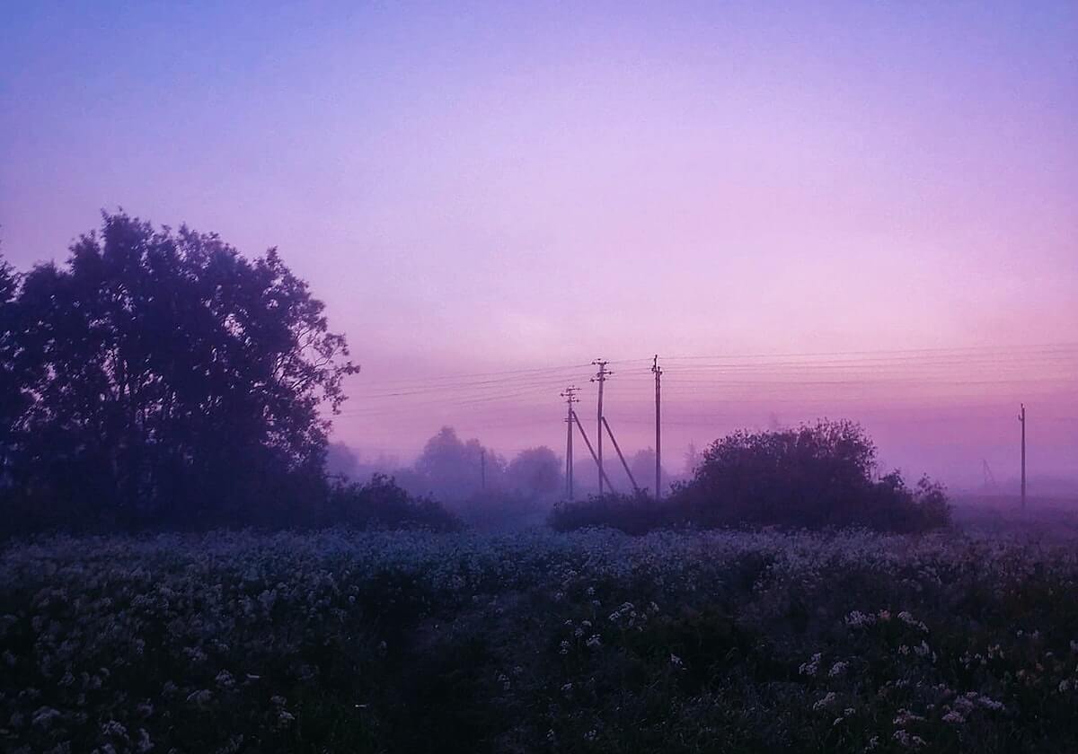 九游体育网址：开启你专属的体育世界